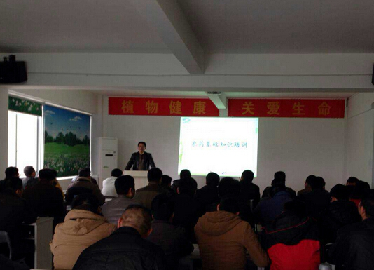 植?；A(chǔ)知識(shí)培訓(xùn)