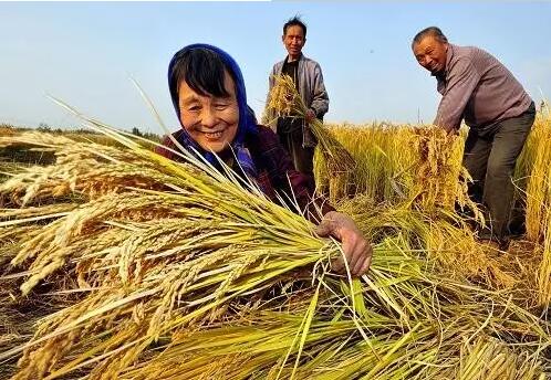 重磅！繼包產(chǎn)到戶之后，我國農(nóng)村又一次迎來重大改革